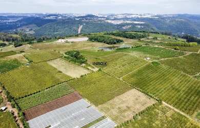 Imagem 6: INBOX CIA IMOBILILIÁRIA VENDE EM PINTO BANDEIRA - Área de terras com quatro hectares em Pi