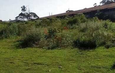 Imagem 7: TERRENO A VENDA EM SÃO JOSÉ DOS PINHAIS