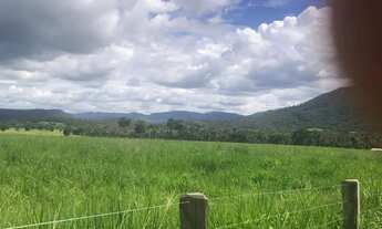 Imagem 7: Segura peão, que ótima fazenda