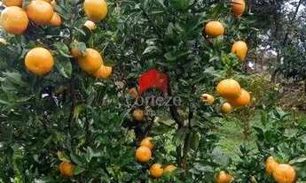 Imagem 7: Chácara com 8.233,67m² 2 quartos, à venda, no bairro Área Rural (Quatro Pinheiros) em Mand