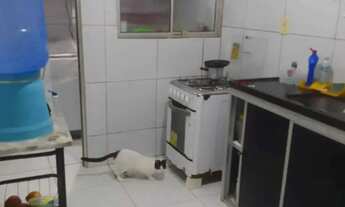 Imagem 4: JA CASA A VENDA EM SÃO DIOGO