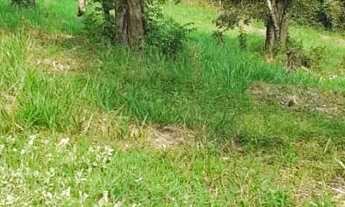 Imagem 3: Terreno em bairro nobre