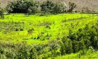 Imagem 5: QUEM CHEGA PRIMEIRO GARANTE OS MELHORES LOTES! CLIQUE AGORA E AGENDE SUA VISITA!