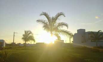 Imagem 3: Lote Plano no Jardim das Tulipas !