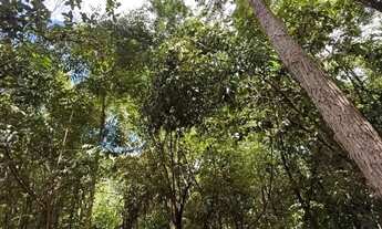 Imagem 5: Chácara para Venda em Senador Canedo, Sitios para Recreio Solar das Auroras, 6 dormitórios