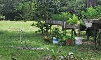 Imagem 7: Sitio tarumã açu