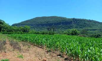Imagem 5: Área de terra bairro Jammerthal, Picada Café.RS Ref.:165