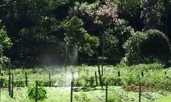 Imagem 7: Sitio 10 alqueires. em Piracaia SP