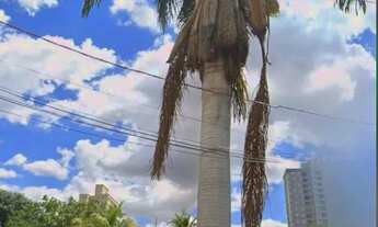 Imagem 5: Casa à venda no bairro Vila Rosa em Goiânia/GO