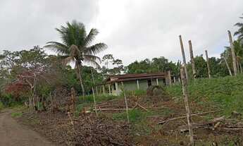 Imagem 6: Vendo excelente fazendinha em jaguaripe