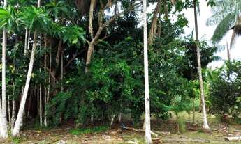 Imagem 2: Terreno medindo 20X100 metros