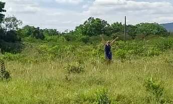 Imagem: Vendo terreno em sao José