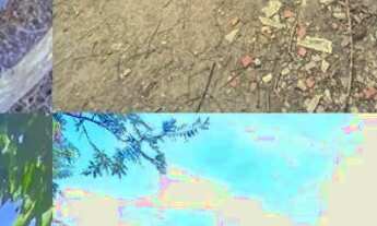 Imagem 7: Sítio à venda - 8 tarefas - Retiro de Coração de Maria (BA