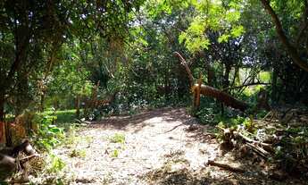 Imagem 3: Terreno 40x20 em Sapucaia do Sul