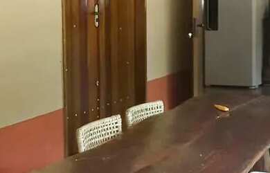 Imagem 7: Chácara à venda em Pirenópolis