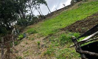 Imagem 3: Vende se chácara