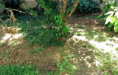 Imagem 4: CASA TÉRREA - JARDIM BRASIL - SP