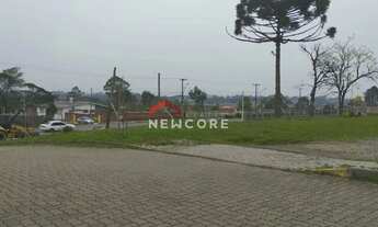 Imagem 5: Lote em Benjamin Constant - Cipó - São Francisco de Paula/RS