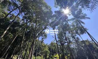 Imagem 5: Terreno à venda, 967 m² por R$ 180.000,00 - Ponte da Saudade - Nova Friburgo/RJ