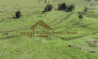 Imagem 7: Haras à venda na região de Itapetininga-SP