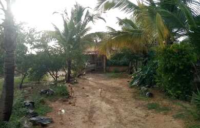 Imagem 7: FAZENDINHA 48 HECTARES (10 ALQUERES) SAIDA FRANCISCO SA 28 KM DE MONTES CLAROS