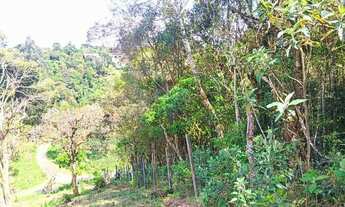 Imagem 5: Chácara em Tijucas do Sul, Paraná!