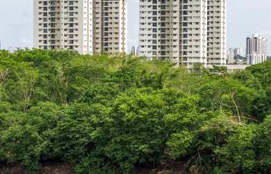 Imagem 4: Imóvel para aluguel possui 70 metros quadrados com 3 quartos em Grande Terceiro - Cuiabá