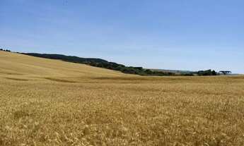 Imagem 3: Área rural top 300 ha dentro da cidade