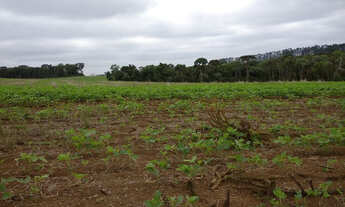 Imagem 7: Abre mais oito alqueires