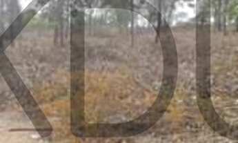 Imagem 7: Chácara à venda, 3 quartos, 1 vaga, Zona Rural - Poxoréu/MT