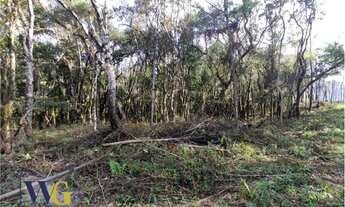 Imagem 4: Terreno Rural para Venda em Campo Largo, São João do Povinho