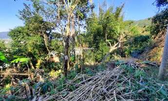 Imagem 7: FLORIANóPOLIS - Terreno Padrão - Pântano do Sul