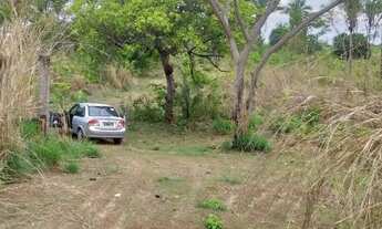 Imagem 3: Vende Terreno com 4Hectares Codó