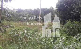 Imagem 7: Igarapé - Terreno Padrão - centro