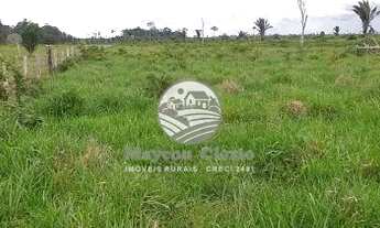 Imagem: Alto Paraíso - Sítio - 9 alqueires escriturada