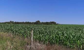 Imagem 2: Fazenda DF-310 194 Hectares !!! 10.670.000 !!!