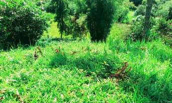 Imagem 6: Ótima chácara na serra da mantiqueira em Virgínia no sul de MG