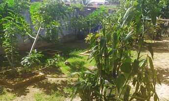 Imagem 2: Fazenda/Sítio/Chácara para venda com 246 metros quadrados com 3 quartos