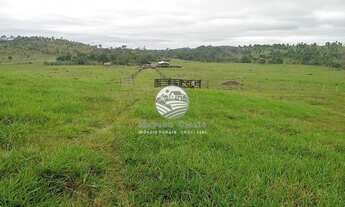 Imagem 5: Ariquemes - Sítio - 42 Alqueires