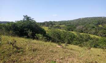 Imagem 5: Fazenda para venda com 37,5Alqueires em Cocalzinho de Goiás