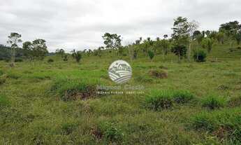 Imagem 6: Ariquemes - Sítio - 42 Alqueires