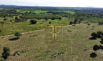 Imagem 3: Fazenda 82 Alqueires, Jaú do Tocantins, TO