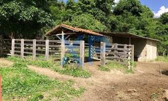 Imagem 5: FAZENDA RURAL A VENDA NO MUNICÍPIO DE SÃO GONÇALO DO PARÁ-MG