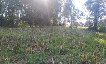 Imagem 3: Sitio em casia dos coqueiros 3,8 alqueires 500.000.00