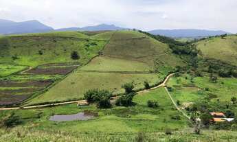 Imagem 6: LINDA ÁREA COM NASCENTE E LAGO A VENDA NO VALE DAS VIDEIRAS