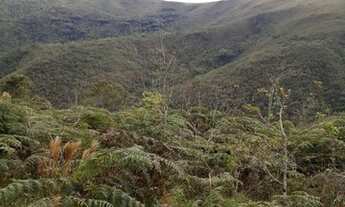 Imagem 4: Sítio 40 Hectares - Sítio 48 Hectares Arantina