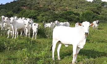 Imagem: Belíssima Fazenda Unaí !!! 4.000.000 !!!