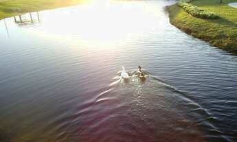 Imagem 5: Terreno no condomínio Dubai