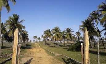 Imagem 4: Área frontal em Conde, 30.000 m²