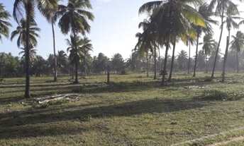 Imagem 7: Área frontal em Conde, 30.000 m²